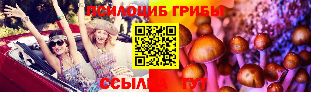 Галлюциногенные грибы Cubensis Прохладный