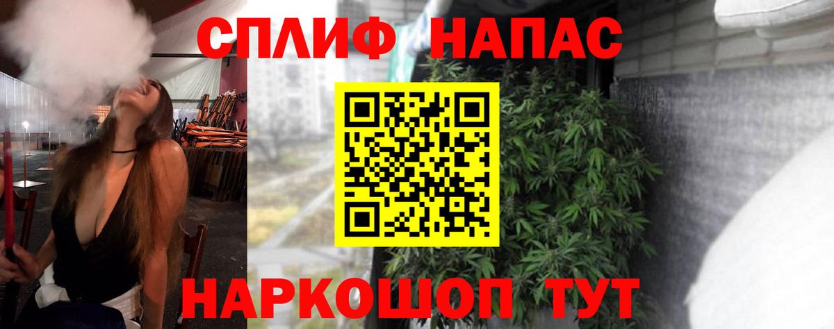 Прохладный  Канабис планчик  Конопля план  Шишки марихуана MAZAR  Вход с VPN 